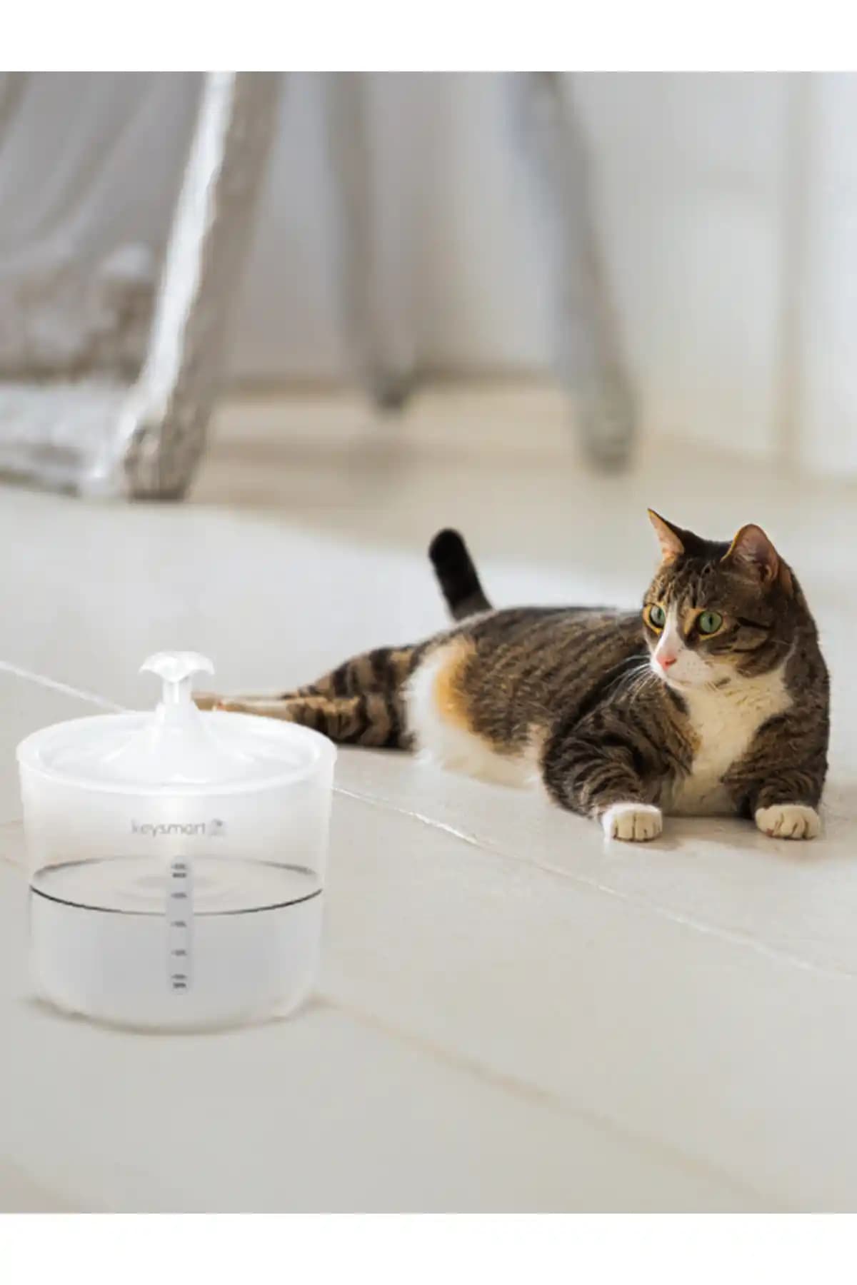 Keysmart P 101 Evcil Hayvan Otomatik Su Pınarı ile Sağlıklı ve Temiz Su Çözümü