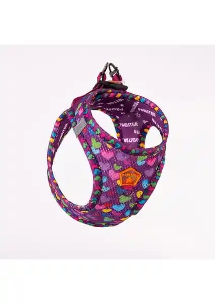 Pawstar Air-Mesh Hearts ve Wow Köpek Göğüs Tasması Modellerinin Detaylı Karşılaştırması