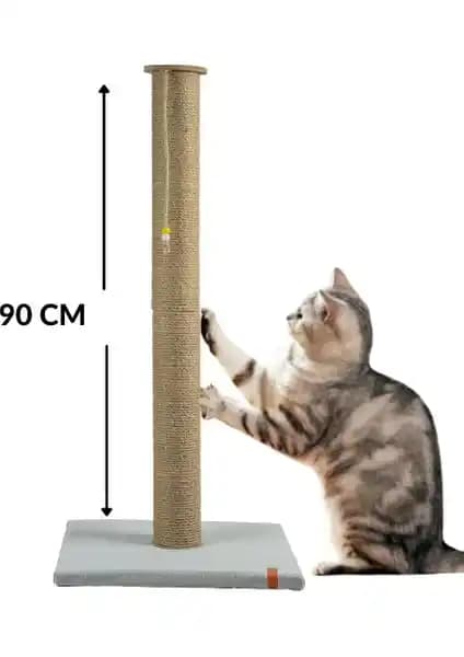 Pugalo ve Rotipet Kedi Tırmalama Ürünleri: Özellik ve Kullanıcı Deneyimi Karşılaştırması