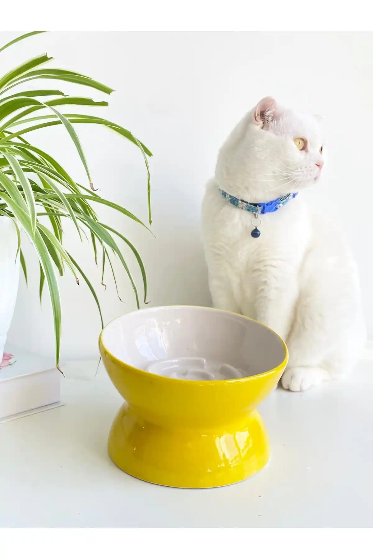 stilinbu Seramik Yavaş Yeme Kedi Mama Kabı (Sarı) – Sağlıklı ve Ergonomik Tasarım