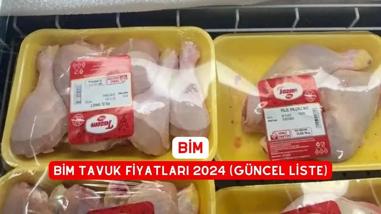 Bimde Kanat Fiyatları Üzerine Güncel Analiz ve Piyasa Dinamikleri