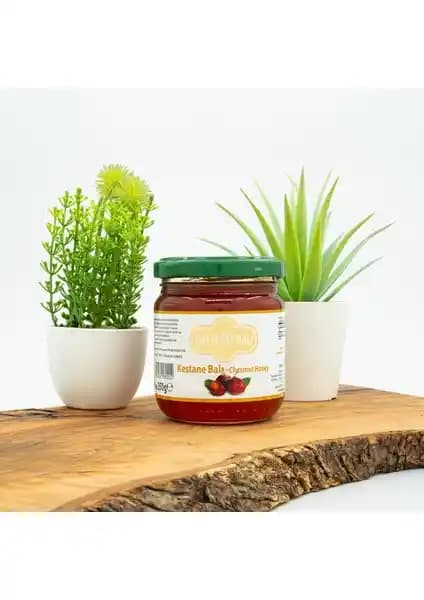 Köyceğiz Kestane Balı Karşılaştırması 250G ve 660G Ürün Özellikleri ve Farkları
