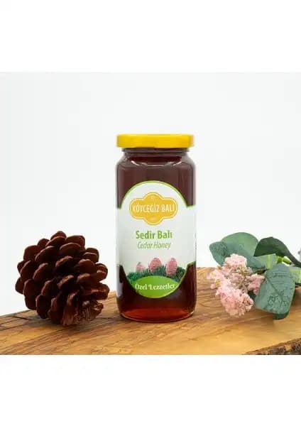 Köyceğiz Sedir Balı 330 G ve 850 G Ürünlerinin Detaylı Karşılaştırması