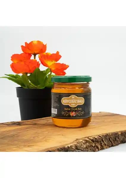 Köyceğiz Balı Türleri Arasındaki Farklar ve Özellikler Detaylı Karşılaştırması