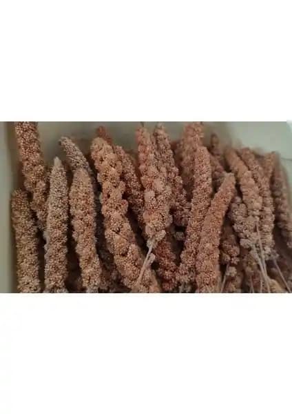 Eren Pet Doğal Kızıl Dal Darı: Kuşlar İçin Sağlıklı ve Besleyici Yem Seçeneği