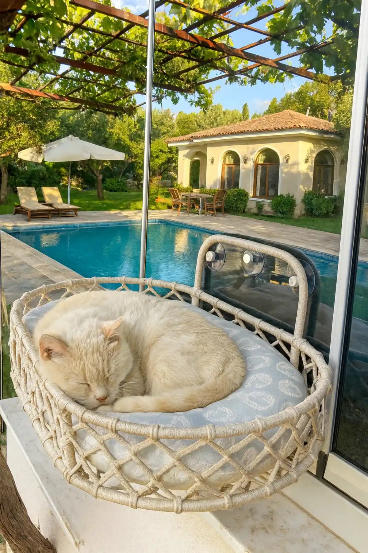 Evcil Hayvanlar İçin Konforlu ve Güvenli Vantuzlu Yatak Tasarımı