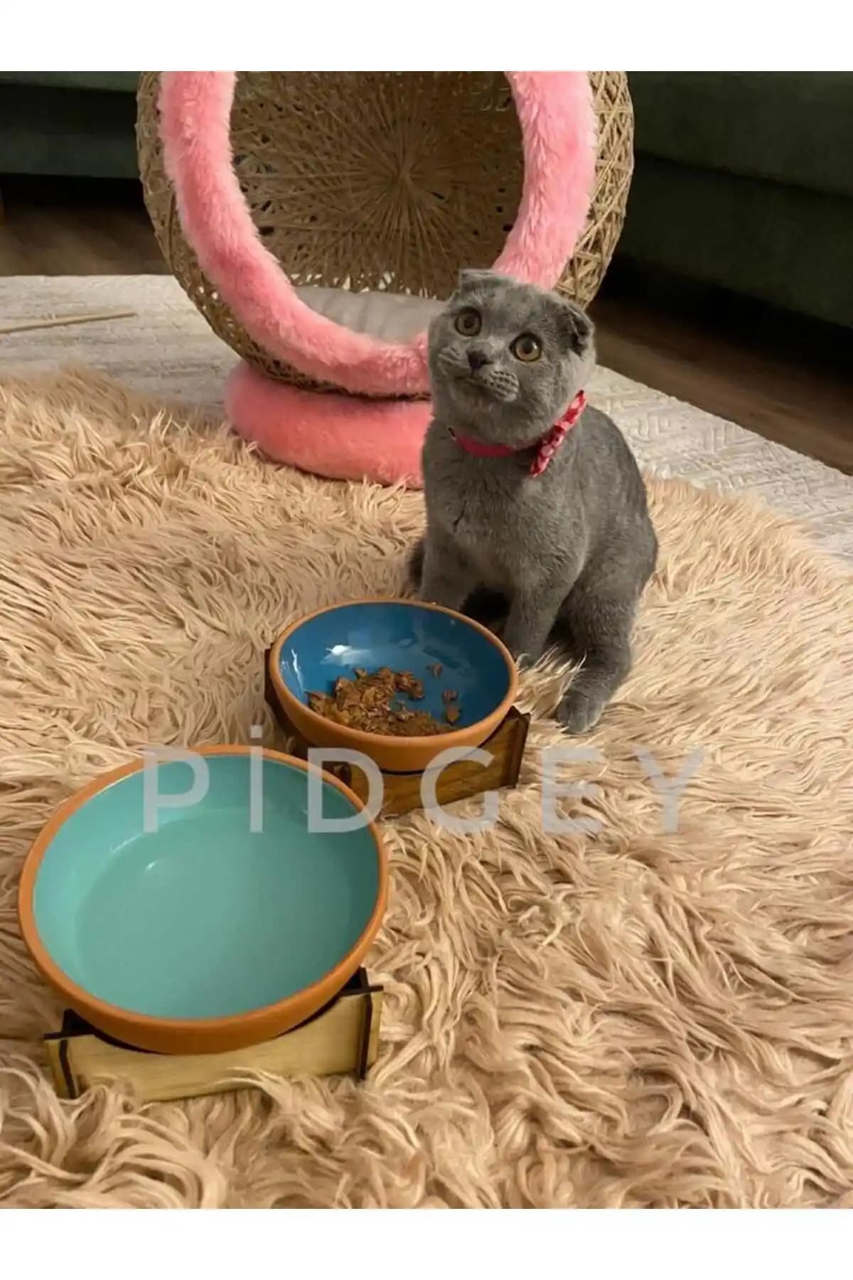 Goffin Tekli Ahşap Ayaklı Seramik Kedi ve Köpek Mama Kabı Detayları ve Kullanım İpuçları