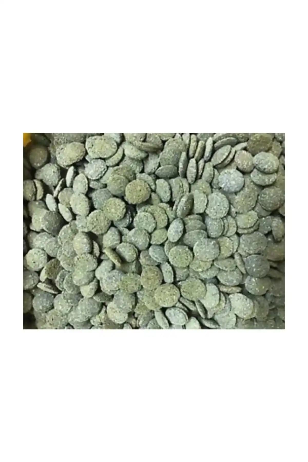 JBL Novo Pleco Otçul Vatoz Balıkları İçin Doğal ve Sağlıklı Tablet Yemi Ürünü İncelemesi