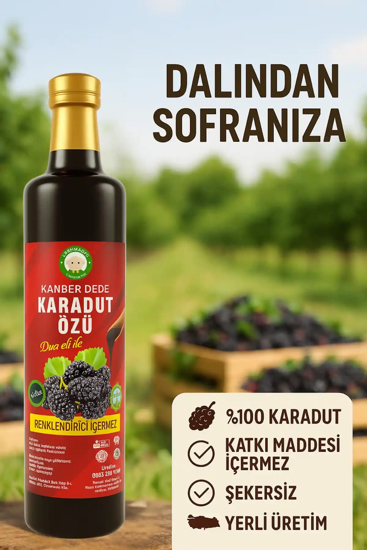 Karadut Özü: Doğal ve Sağlıklı Bir Takviye Seçeneği