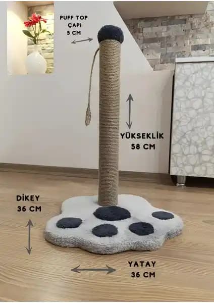 Kedi Tırmalama Tahtası Karşılaştırması: Rexon ve Nursoft Modellerinin Özellikleri ve Kullanıcı Yorumları