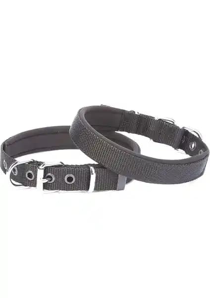 Köpek Boyun Tasması Karşılaştırması: Konforlu ve Dayanıklı Seçenekler