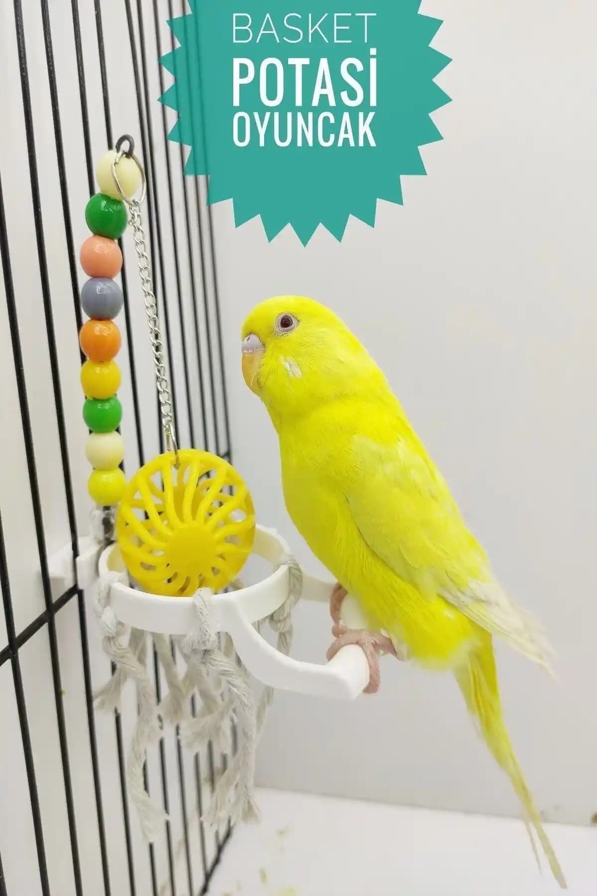 Ozzipetshop Muhabbet Kuşu Basket Oyuncağı: Renkli ve Dayanıklı Kuş Eğlence Ürünü