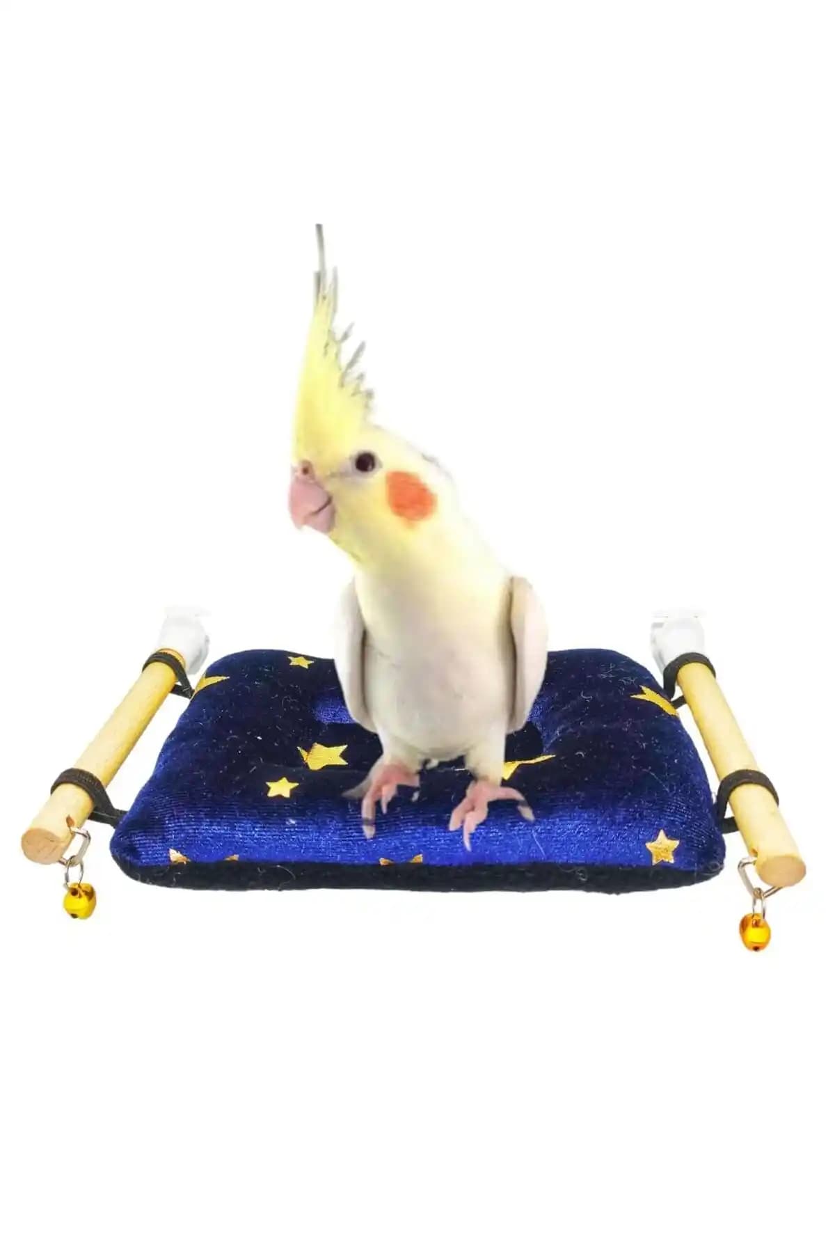 Ozzipetshop Sultan Papağanı Yastıklı Dinlenme Tüneği: Konfor ve Estetik Birlikte Sunar