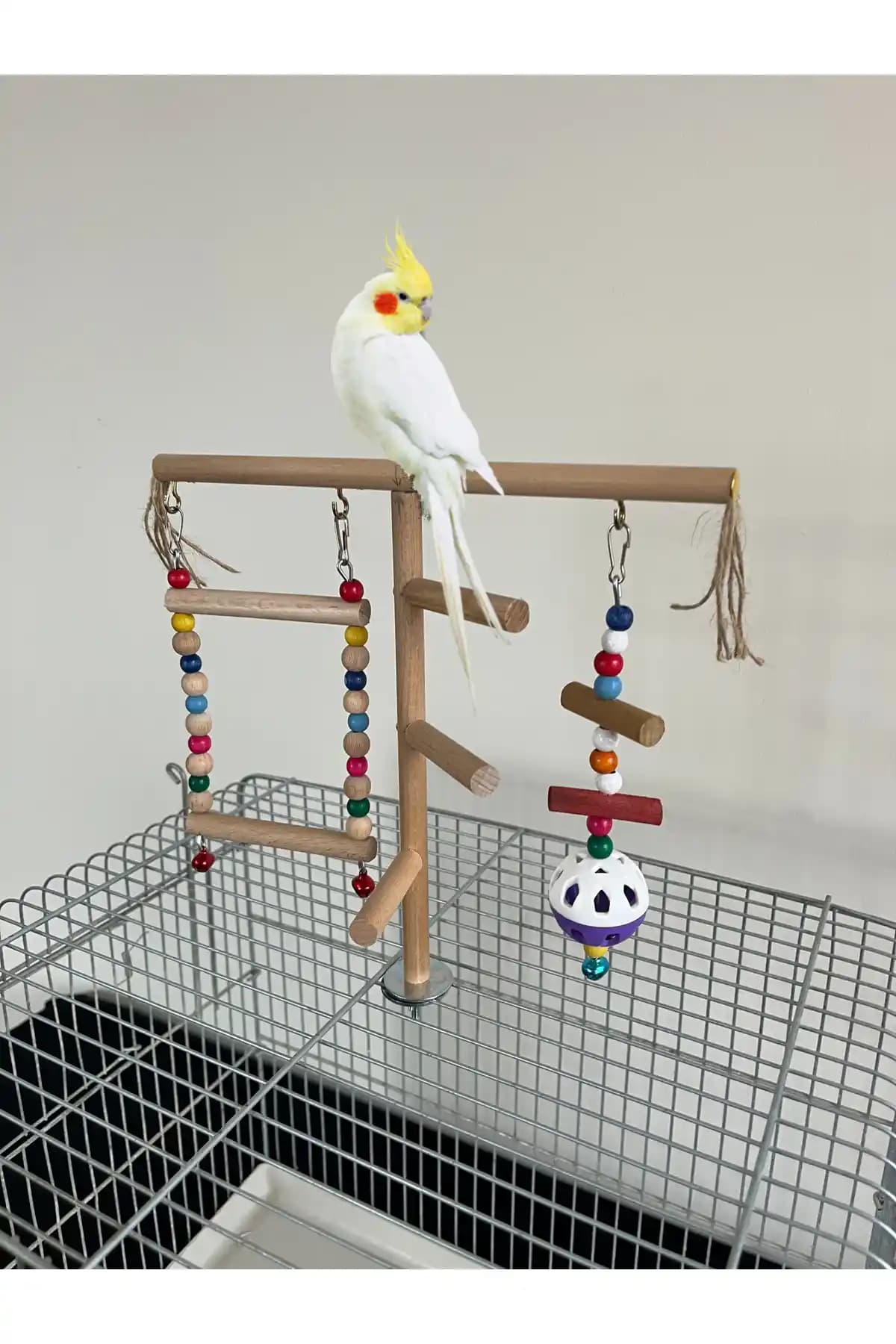 Paks Pet Kafes Üstü Ahşap Kuş Oyun Alanı Doğal ve Dayanıklı Tasarım