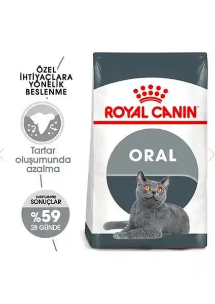 Royal Canin Dental Care Kuru Kedi Maması ile Diş Sağlığını Koruma Rehberi