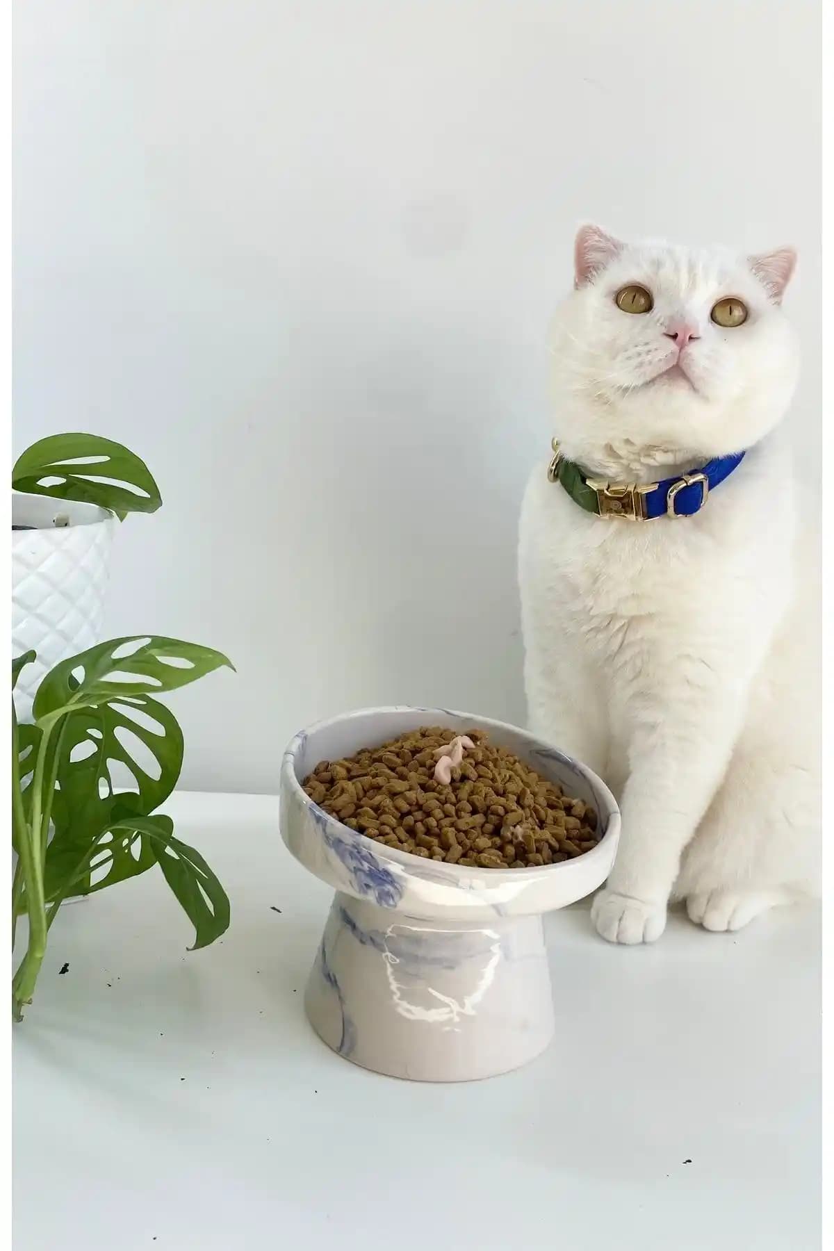 Stilinbu Seramik Kedi ve Köpek Mama Su Kabı: Estetik ve Sağlıklı Tasarım Özellikleri