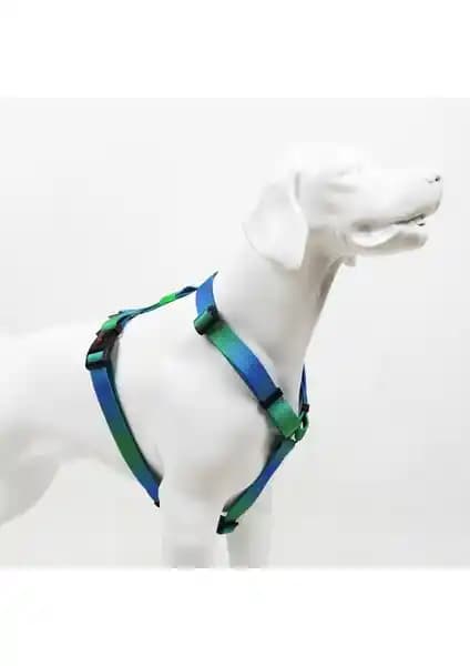 Tailpetz Amazon H-tipi Göğüs Tasması: Konfor ve Güvenlik Sağlayan Modern Köpek Tasması