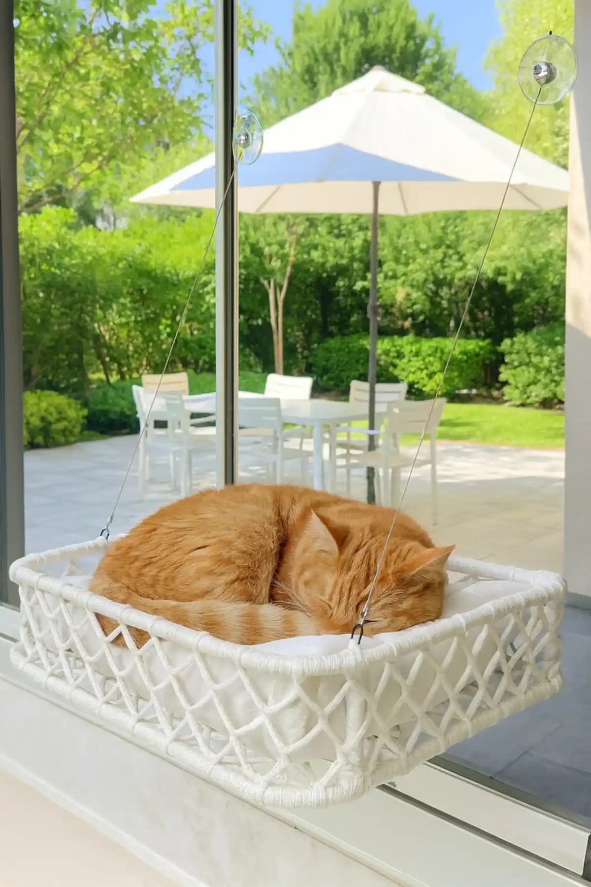 TASARYUM Kedi ve Köpek Cam Yatağı: Şık ve Güvenli Evcil Hayvan Konforu İçin Ideal Çözüm