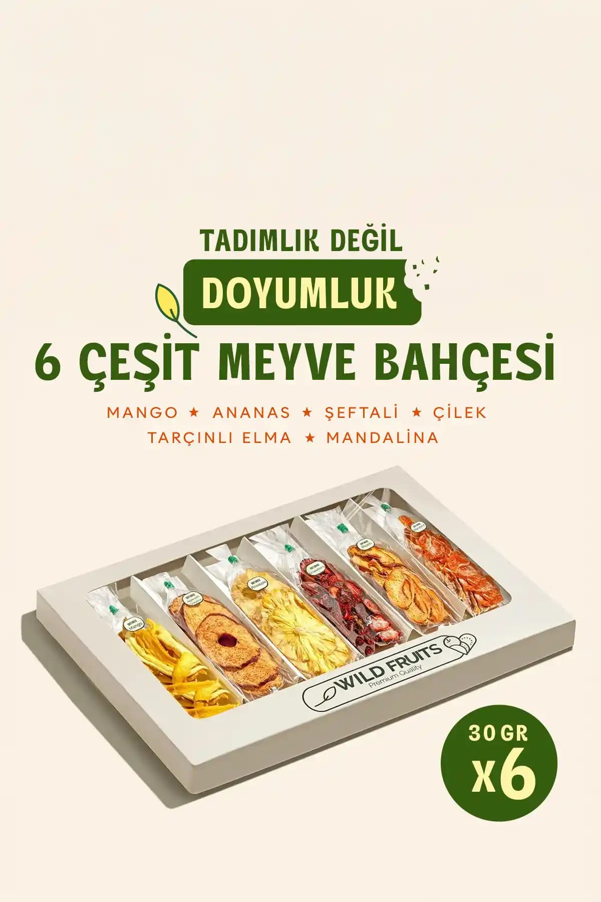 WildFruits Premium Kuru Meyve Tam Seti Sağlıklı ve Doğal Atıştırmalık Seçenekleri