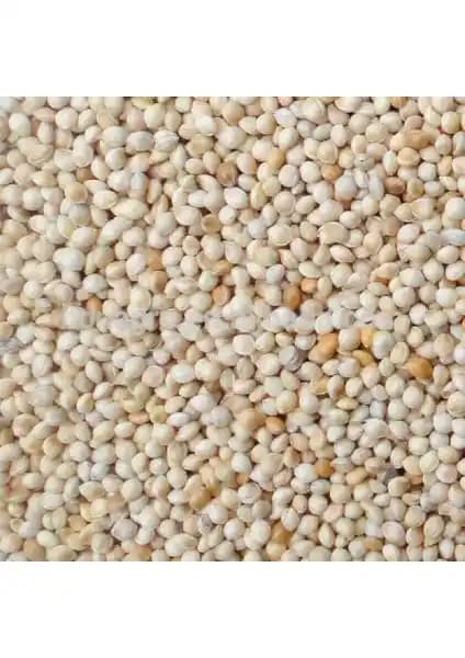 Aslımlar Ak Beyaz Darı 1 Kg Kuş Yemi - Doğal ve Güvenilir Kuş Beslenmesi Ürünü