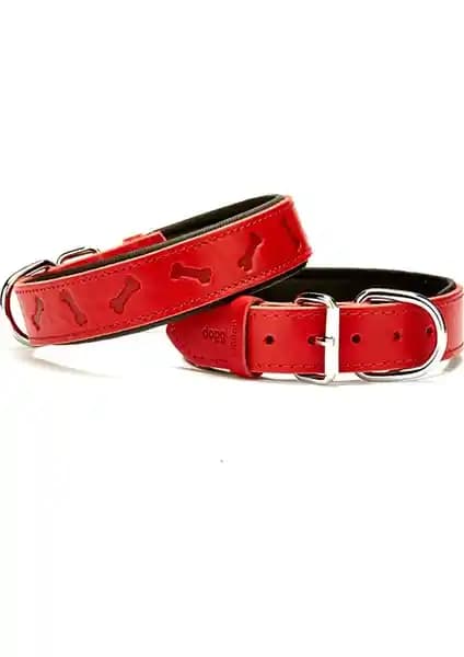 El Yapımı Kemik Desenli Köpek Boyun Tasması Konfor ve Şıklık Sunar