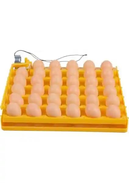 Elif Kulucka Makinesi 35 Li Gelişim Viyolu: Otomatik Yumurtalık Gelişim Cihazı İncelemesi