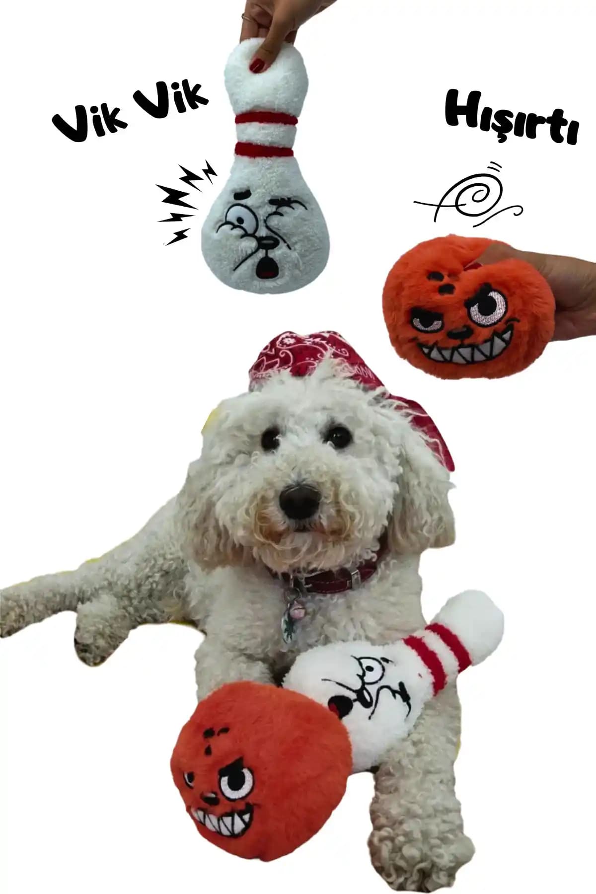 Havhav Bowling Temalı Köpek Oyuncak Seti: Eğlence ve Dayanıklılık Sunan Güvenli Tasarım