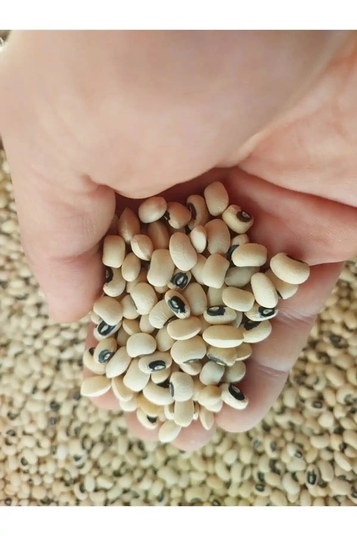 İrfan Bakliyat Börülce 3 Kg: Doğal ve Lezzetli Antalya Yöresi Köy Mahsulleri