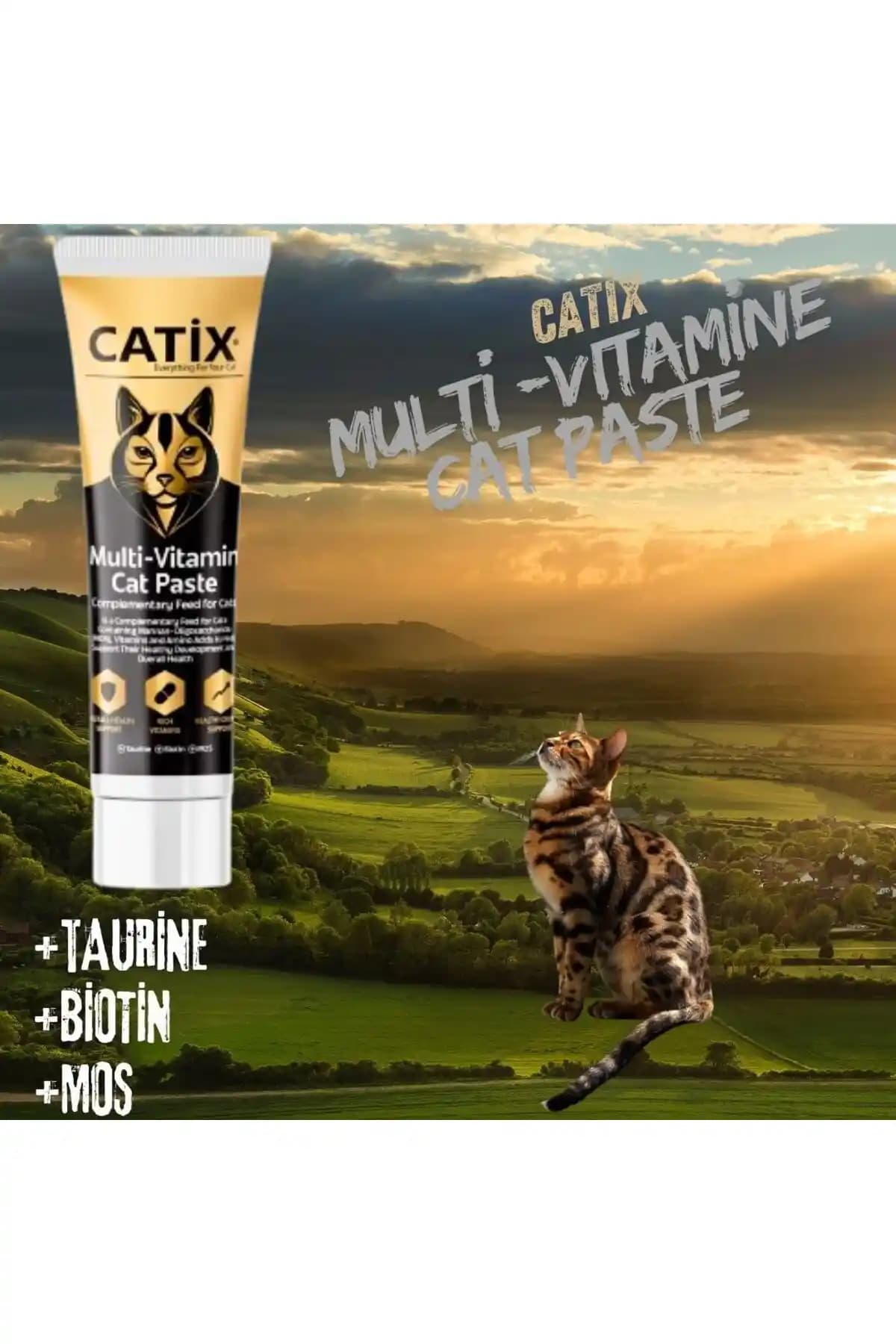 Kediler İçin Multi Vitamin Paste: Sağlıklı ve Parlak Tüyler İçin Güçlü Destek