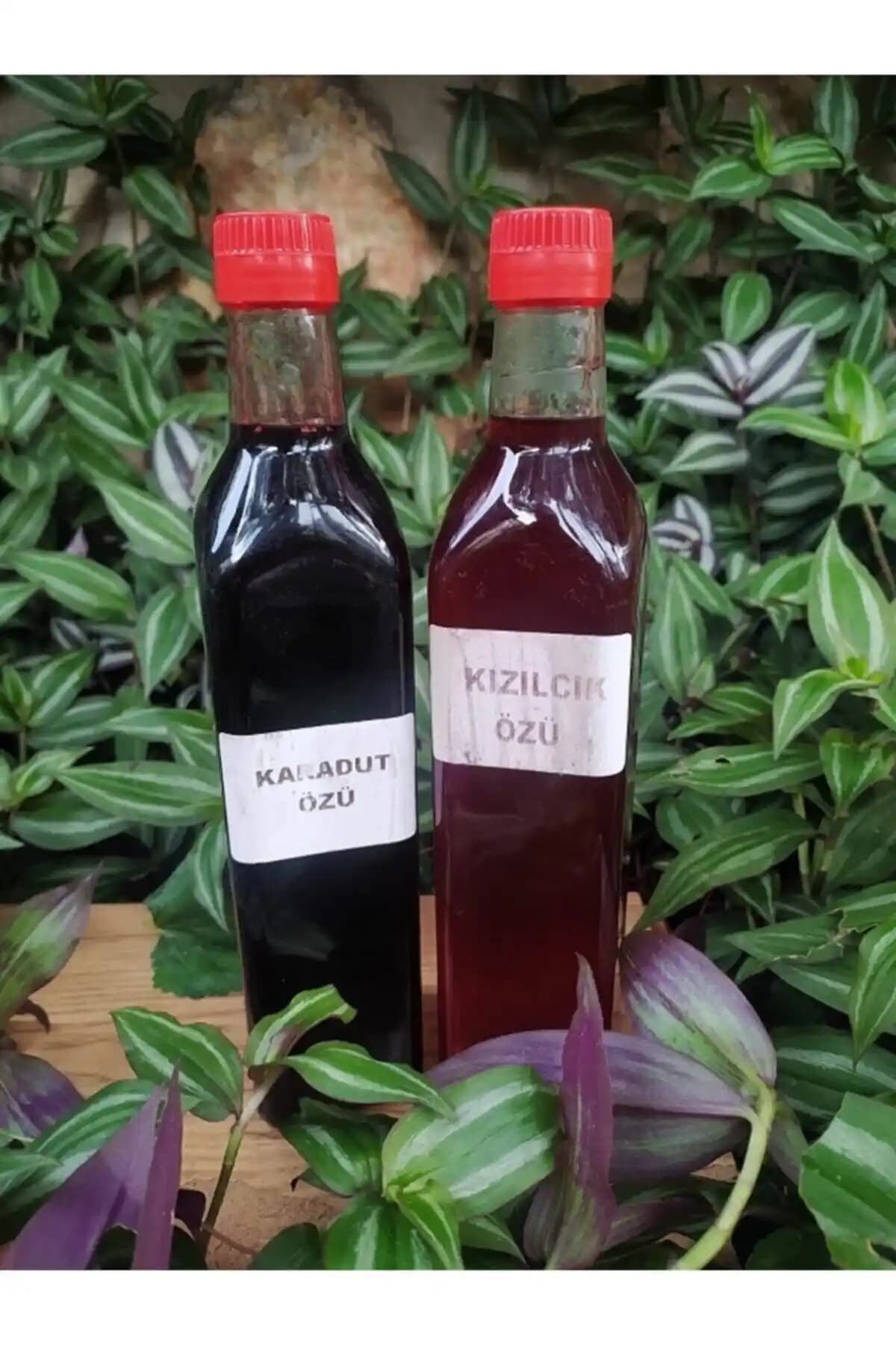 Köyden 2li Öz Paketi Karadut ve Kızılcık Özleri Doğal ve Sağlıklı İçeriklerle Sağlık Destekleri