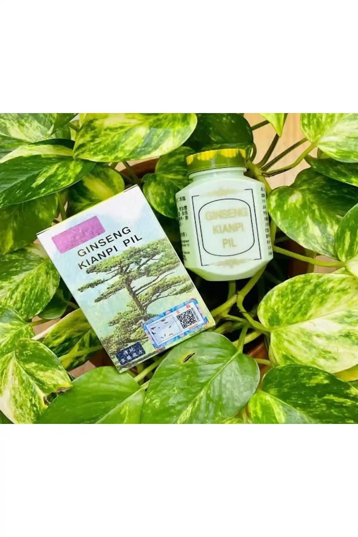 Wisdompro Wisdom Ginseng Kianpi Pil Pro: Doğal Kas Hacmi Artırıcı ve Sağlık Desteği Ürünü İncelemesi