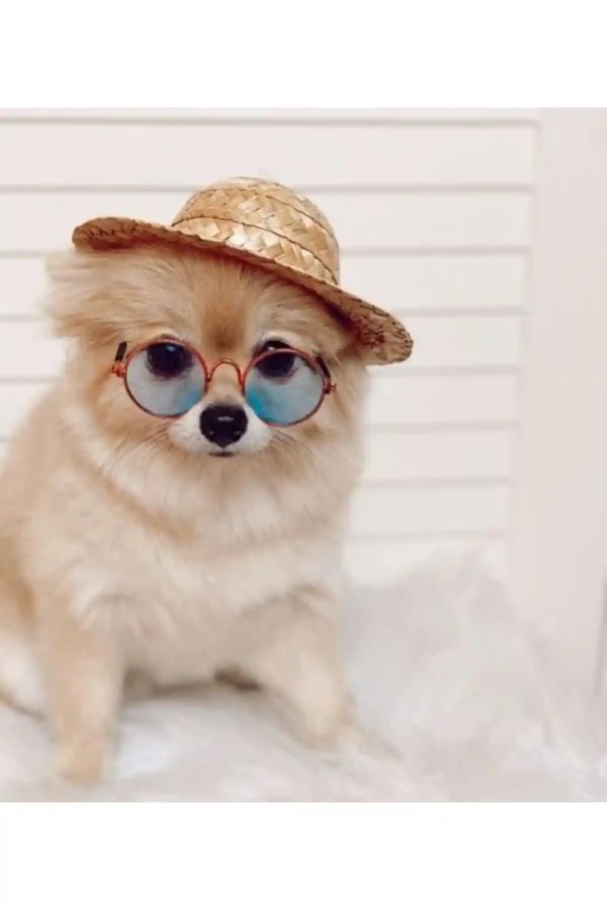 AKTEZ-EL Sevimli ve Rahat Hasır Fötr Köpek Şapkası Detaylı İnceleme