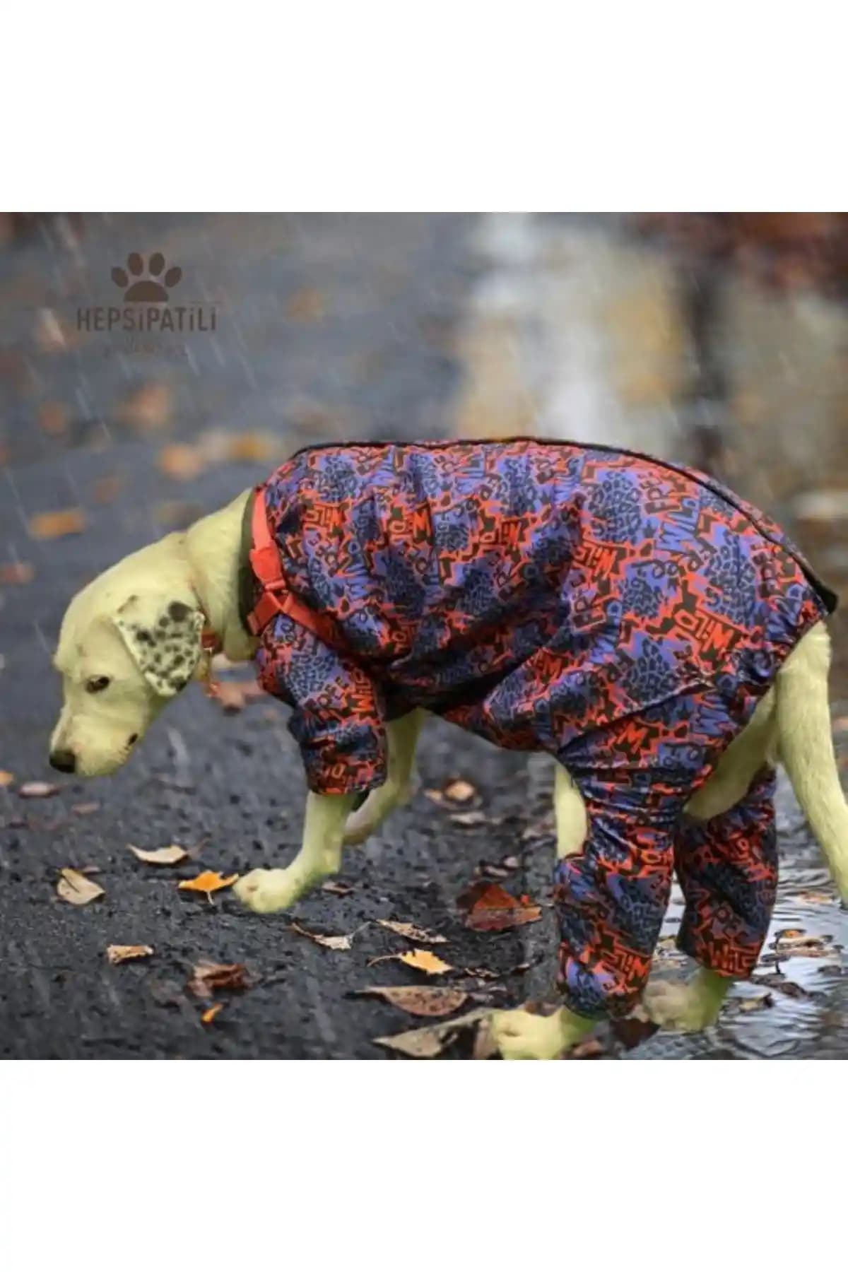 Alphadog Wild İç Polar Köpek Tulumu: Sıcacık ve Pratik Köpek Giyim Çözümü