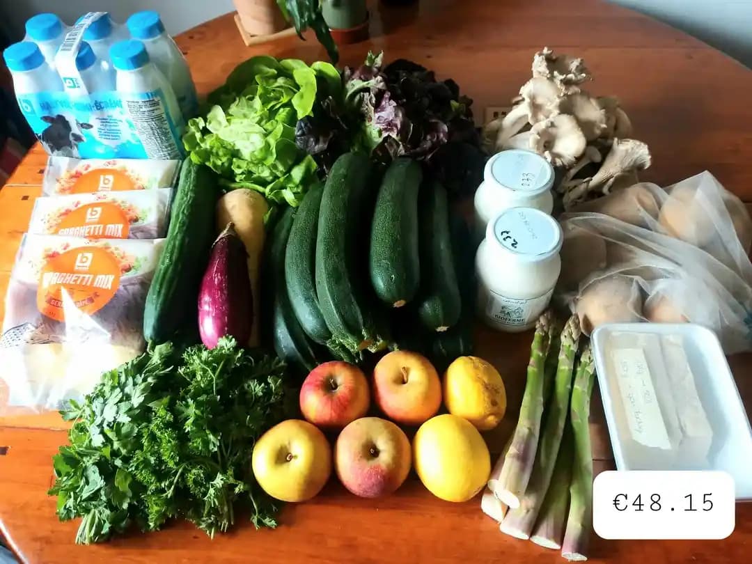 Belçika ve Hollanda'da 2 Kişilik 2 Haftalık Sağlıklı Market Alışverişi ve Bütçe Yönetimi