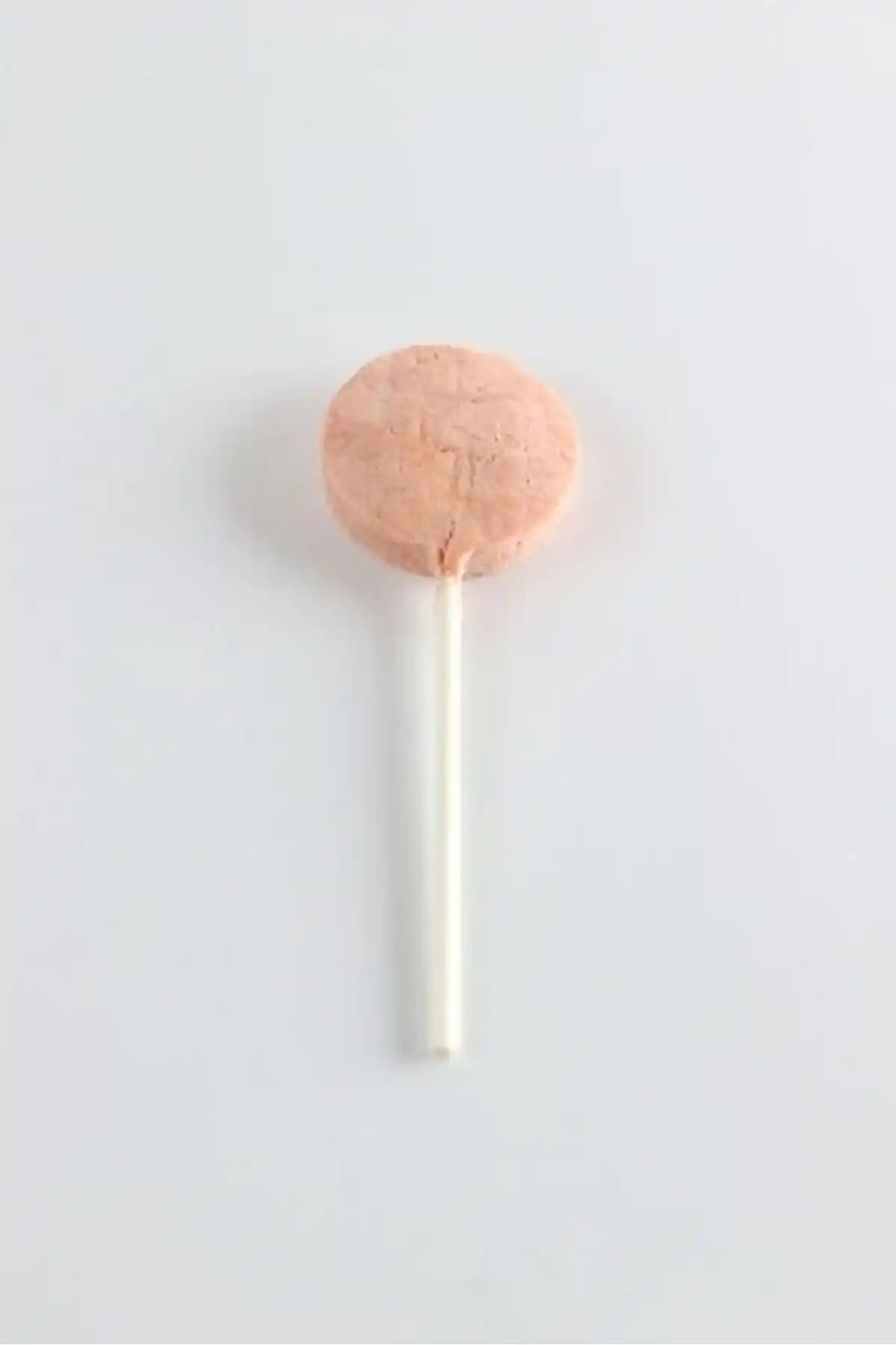 Kediniz İçin Sağlıklı ve Lezzetli Kedi Lolipopu Tavuk Aroması Ürün İncelemesi