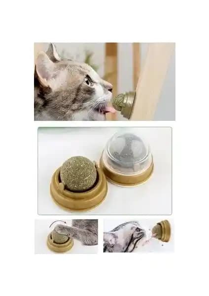 Kitchen Live Doğal Catnipli Yenilebilir Kedi Nanesi Oyun Topu İncelemesi ve Kullanım Rehberi