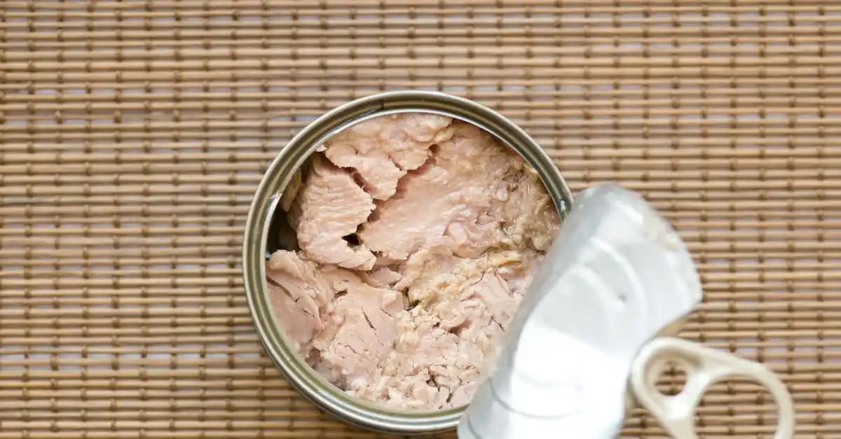 Konserve Ton Balığı ve Ramen: Ekonomik, Besleyici ve Pratik Yemek Kombinasyonu