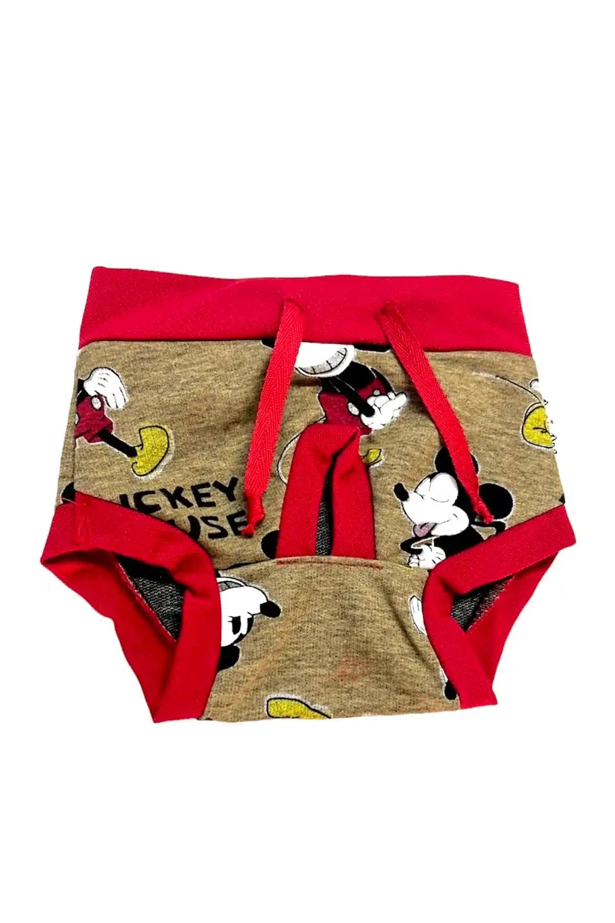 Küçük Irk Köpek ve Kedi İç Çamaşırı İncelemesi: Tasarım, Kullanım ve Geliştirme Önerileri