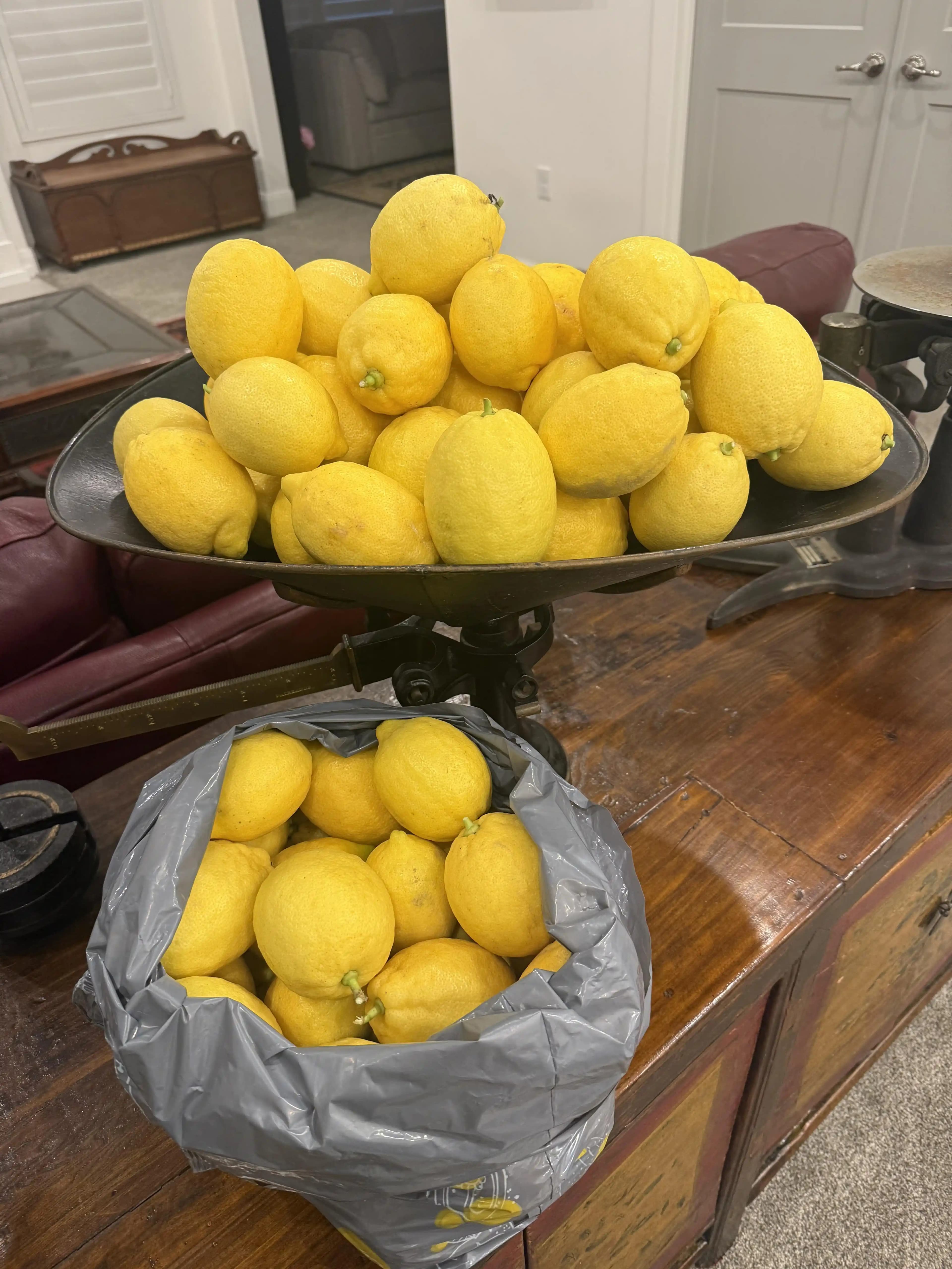 Limon Bolluğunu Değerlendirme Yöntemleri: Saklama, Fermentasyon ve Kullanım Alanları