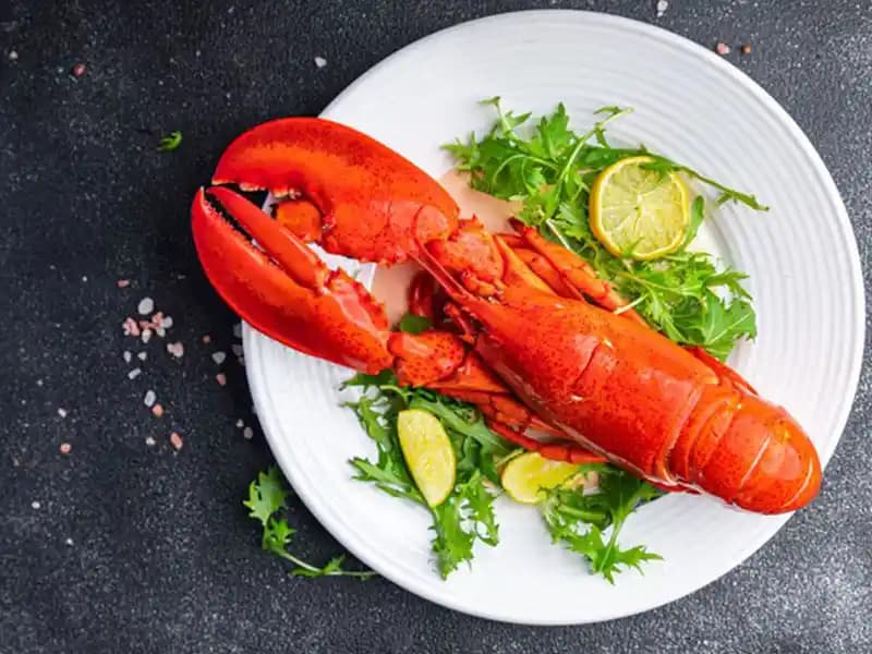 Marketlerde Canlı Istakoz Tanklarının Tarihi, Kullanımı ve Güncel Durumu