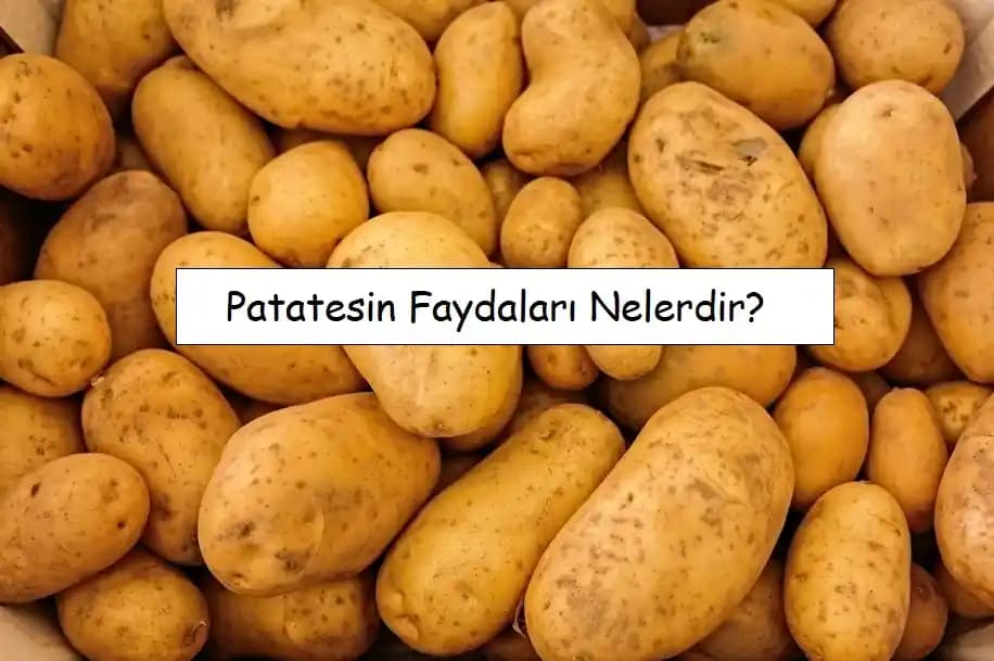 Patatesin Farklı Pişirme Yöntemleri ve Popüler Tariflerle Zenginleştirilmesi