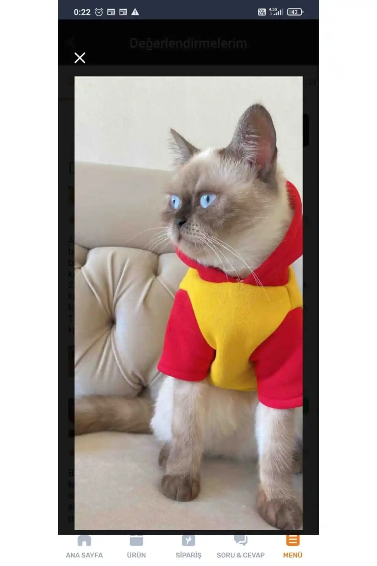 Tuğba Fashion Taraftar: Sıcak ve Dayanıklı Küçük Evcil Hayvan Kıyafeti (L Beden)