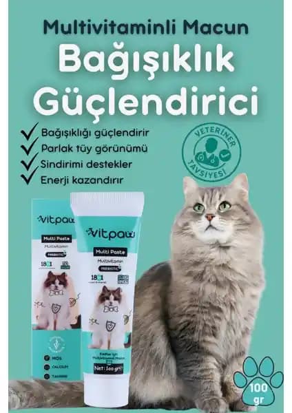 Vitpaw Multi Paste ve Sterile Paste Ürünlerinin Karşılaştırması ve Kullanım Amaçları
