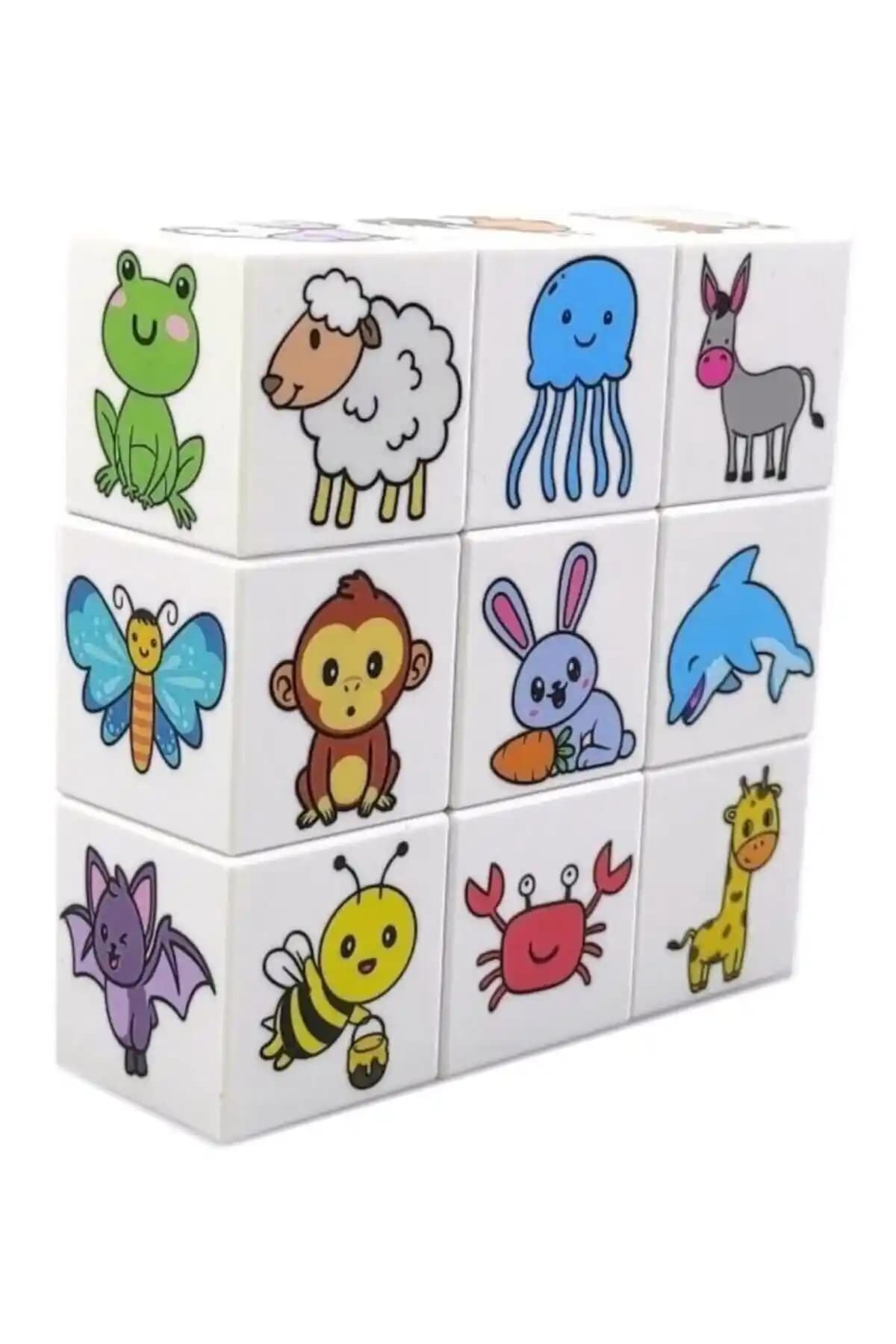 KÜPSS Ece'nin Hayvanat Bahçesi: 54 Hayvan Figürlü Manyetik Küplerle Eğitici Oyun