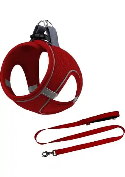 Mita Air Mesh ve Pawstar Air-Mesh Wow Köpek Göğüs Tasması Karşılaştırması