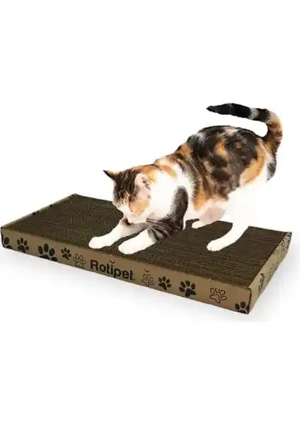 Rotipet Karton Kedi Tırmalama Ürünleri Karşılaştırması ve Kullanıcı Yorumları