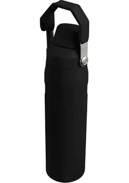 Stanley Su Matarası Modelleri Karşılaştırması: Aerolight Iceflow ve All Day Slim Özellikleri