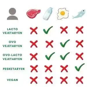 5 Yaşındaki Çocuğun Vejetaryen Beslenmeye Geçişinde Protein İhtiyacı ve Yemek Planlama