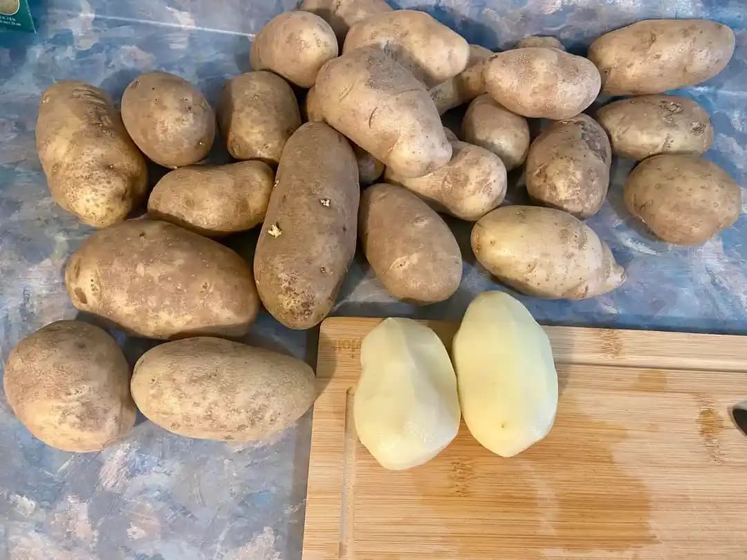 Dondurulmuş Patates Dilimleri Hazırlama, Saklama ve Pişirme Teknikleri