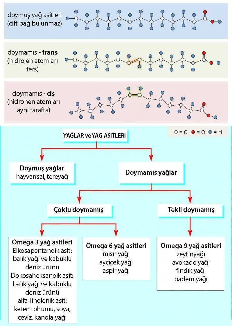 Hayvansal Yağ ve Yağ Sızıntılarının Saklanması ve Mutfakta Kullanım Yöntemleri